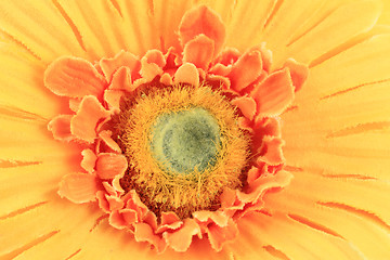 Image showing yellow textile flower background