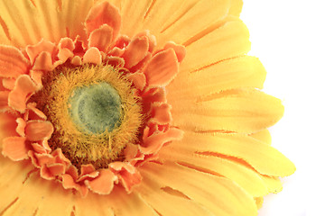 Image showing yellow textile flower background