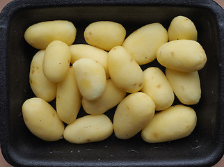 Image showing Potato vegetables in a tub