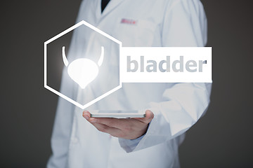 Image showing Doctor working on a virtual screen. medical technology concept. bladder