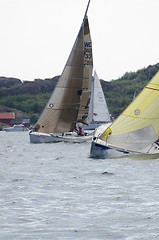 Image showing one sail competition on swedish westcoast