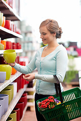 Image showing woman with basket choosing flower pot in shop