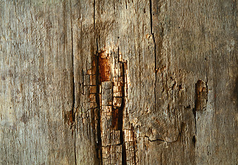 Image showing wood texture with natural pattern