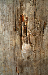 Image showing wood texture with natural pattern