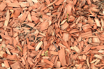 Image showing wooden chips texture