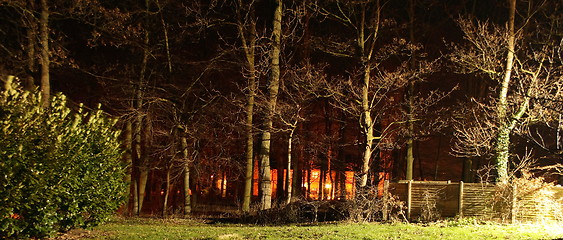 Image showing trees lit by lights at nighttime