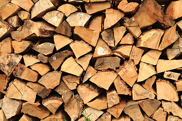 Image showing nice firewood texture 