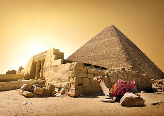 Image showing Camel and ruined pyramid