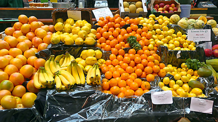 Image showing Citrus Fruits