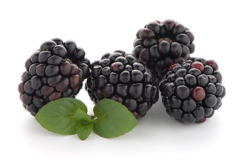 Image showing Blackberries with leaves