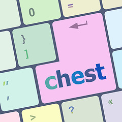 Image showing chest word on keyboard key, notebook computer button vector illustration