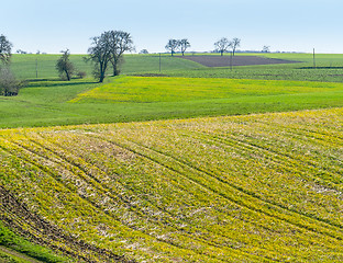 Image showing rural spring time scenery