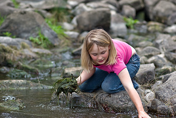 Image showing helping the environment