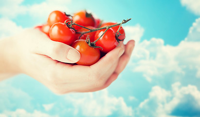 Image showing close up of woman hands holding cherry tomatoes