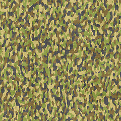 Image showing camouflage cloth