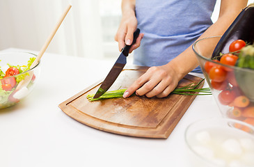 Image showing close up of woman chopping green onion with knife