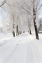 Image showing winter road . track.