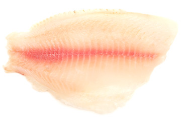 Image showing raw fish fillet