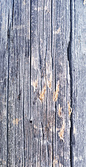 Image showing old wooden texture