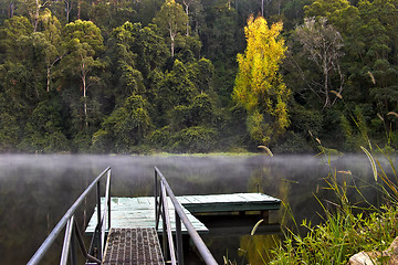 Image showing toonumbar dame