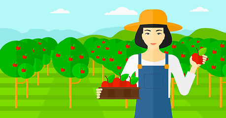 Image showing Farmer collecting apples.