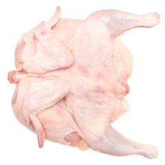 Image showing raw chicken on white