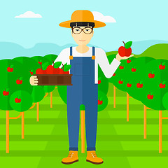 Image showing Farmer collecting apples.