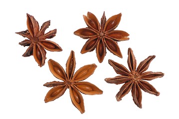 Image showing Star Anise