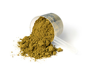 Image showing hemp protein powder