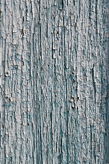 Image showing Old blue cracked paint on wooden background
