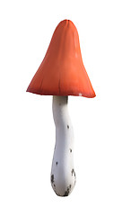 Image showing 3D Illustration Mushroom on White