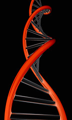 Image showing DNA structure model