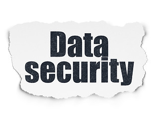 Image showing Privacy concept: Data Security on Torn Paper background