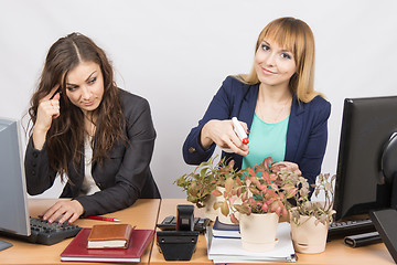 Image showing  Office employee considers crazy colleague - a lover of flowers