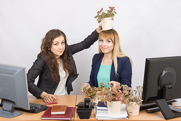 Image showing An employee of the office puts on a head-grower colleagues with a flower pot