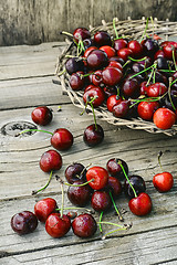 Image showing Harvest rustic cherry