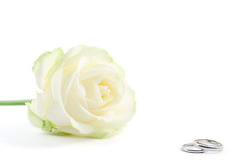 Image showing wedding rings and a rose