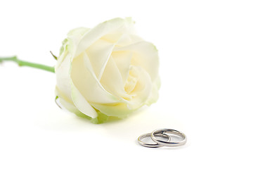 Image showing wedding rings and a rose