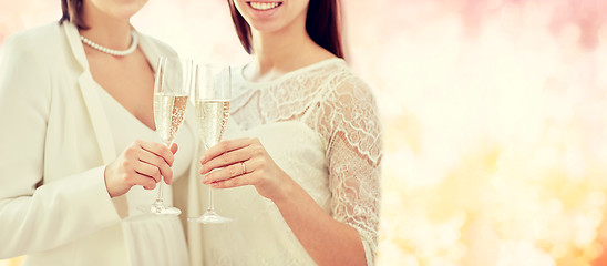 Image showing close up of lesbian couple with champagne glasses