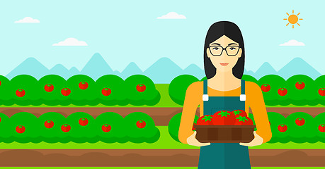 Image showing Farmer collecting tomatos.