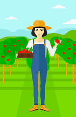 Image showing Farmer collecting apples.