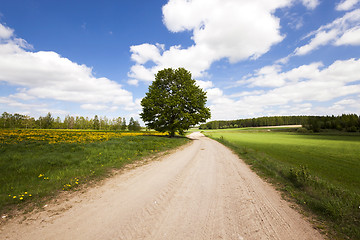 Image showing Spring road ,  countryside  