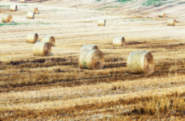 Image showing agriculture, not in focus  