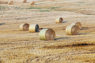 Image showing haystacks in a field of straw 