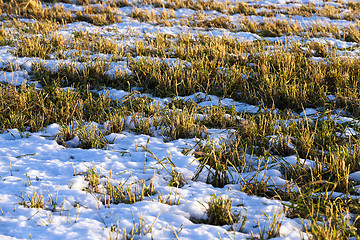 Image showing winter season, the snow 