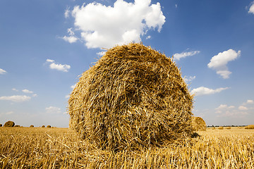 Image showing packed straw , cereals