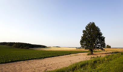 Image showing Photo agriculture, Europe  