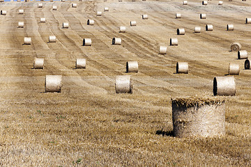 Image showing haystacks in a field of straw  