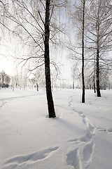 Image showing Snow covered road 