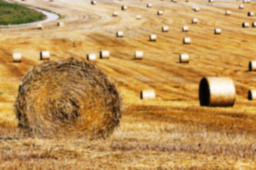 Image showing agriculture, not in focus  